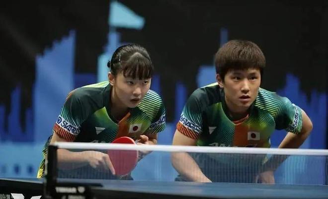 泰山队的年 泰山队的年